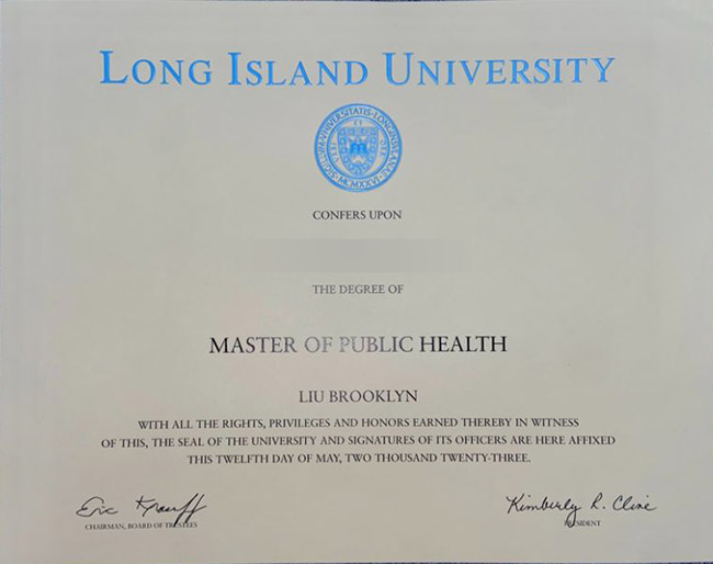 long island university1