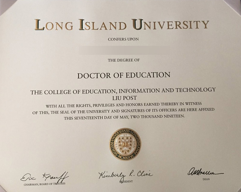 long island university2
