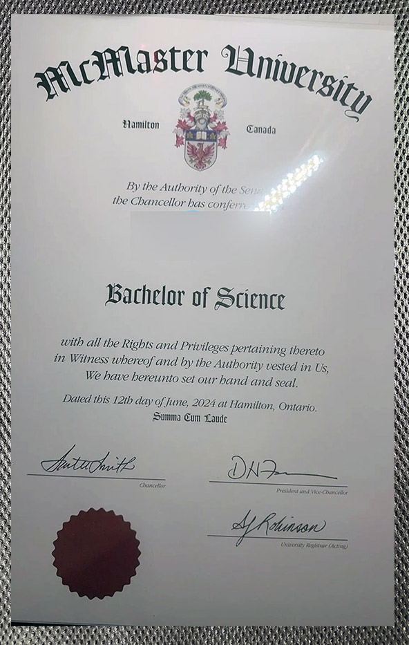 The highest-quality diploma from McMaster University McMaster University4