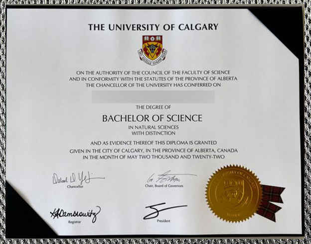 University Of Calgary1