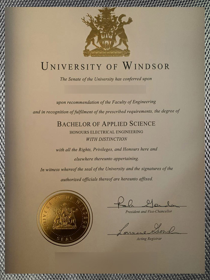 Windsor University