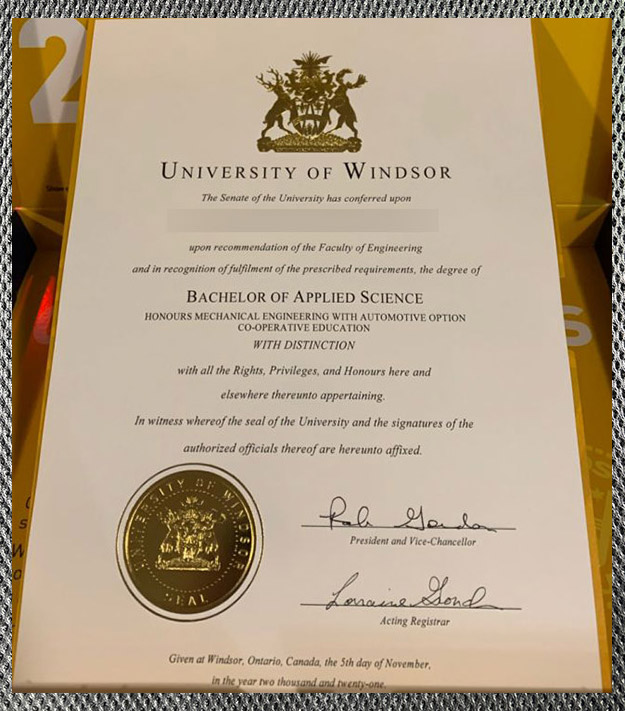Windsor University1
