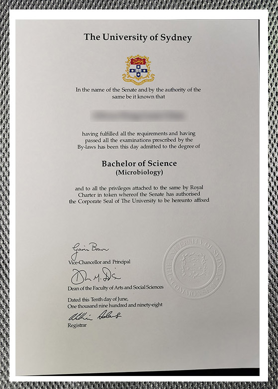 The highest-quality USYD university certificate